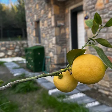 Carian Trail Evdatca - Kargi Bay, Close To *