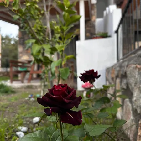 Apartament Carian Trail Evdatca - Kargi Bay, Close To