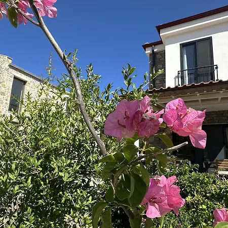 Appartement Carian Trail Evdatca - Kargi Bay, Close To