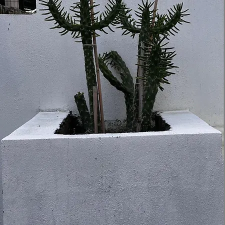 Apartment Carian Trail Evdatca - Kargi Bay, Close To